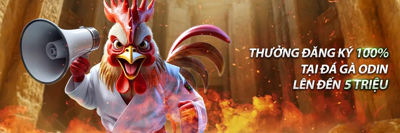 Tổng hợp các chương trình khuyến mãi và ưu đãi của Jun88